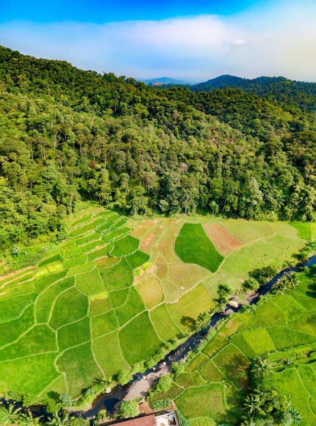 Fertilizer Formulation and Blending